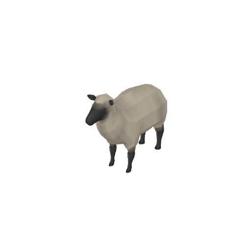 Sheep