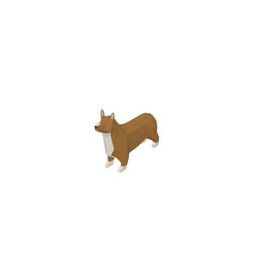 Corgi