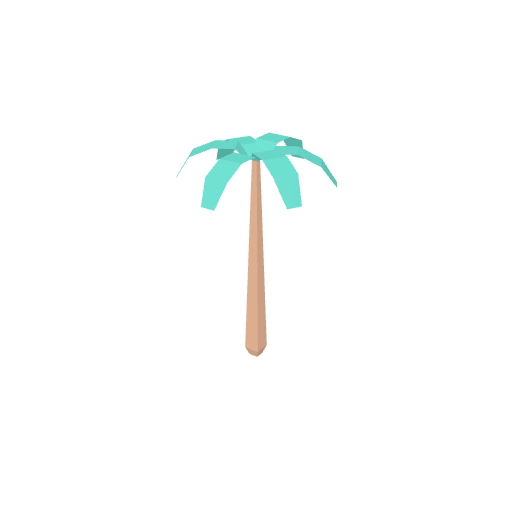 Tree Palm