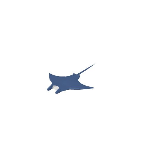 Manta Ray