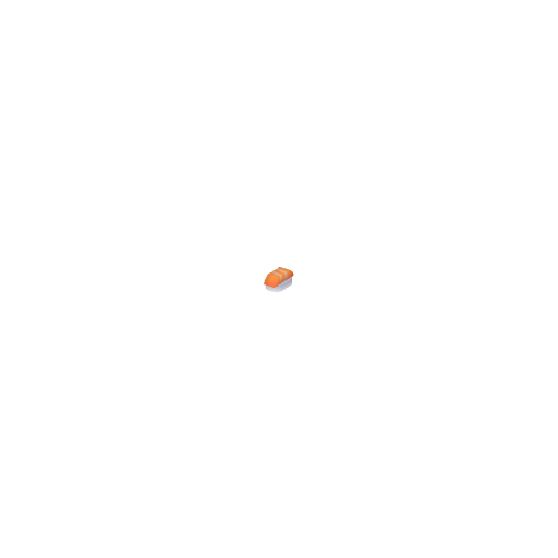 Sushi Salmon