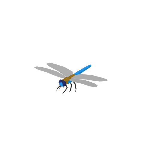 Dragonfly