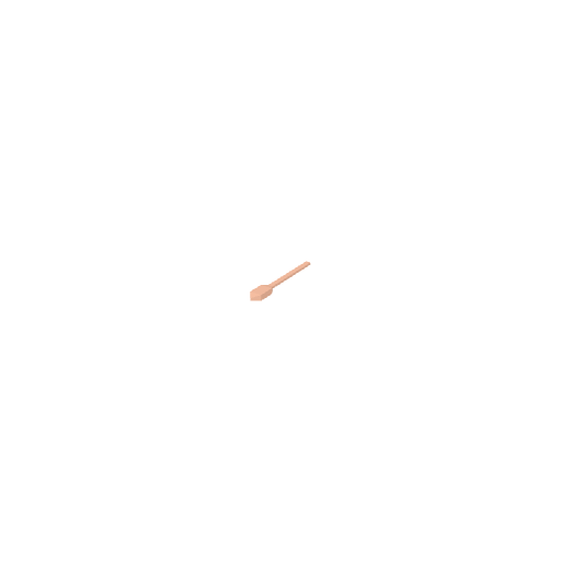 Canoe Paddle