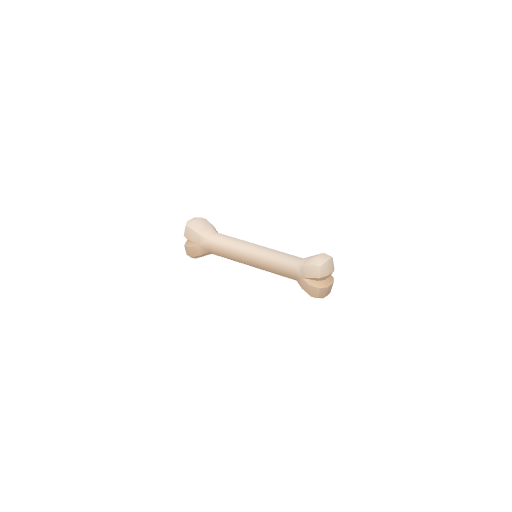 Bone