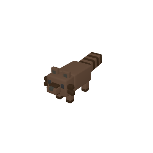 Raccoon