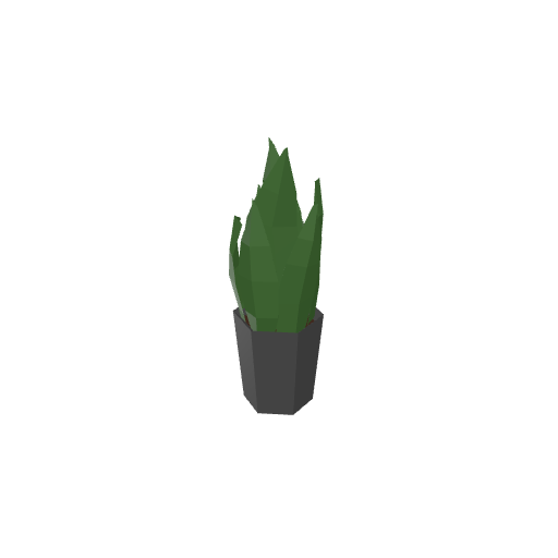 Flower Pot