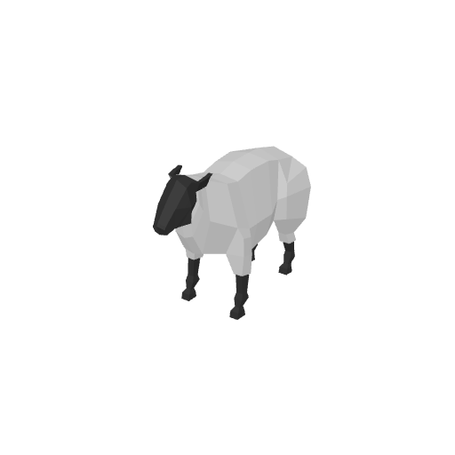 Sheep
