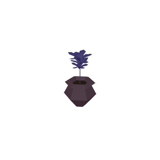 Flower Pot