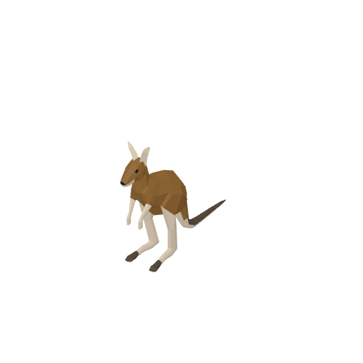 Kangaroo