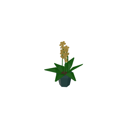 Flower Pot