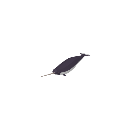 Narwhal