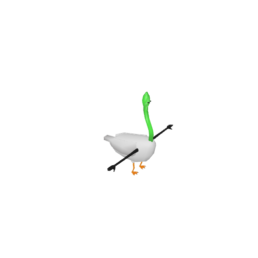 Aspraragoose