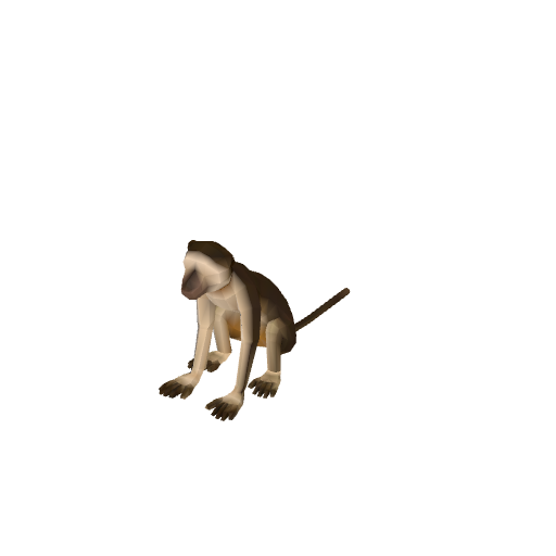 Monkey