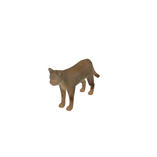 Arabian Wildcat