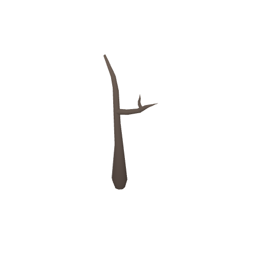 Dead Tree