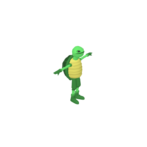 Turtle Character