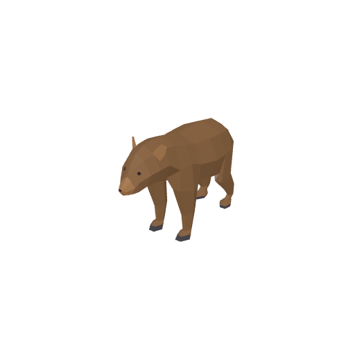 Bear