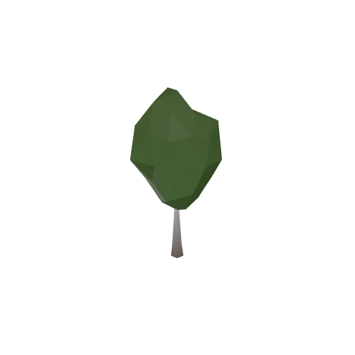 Birch Tree