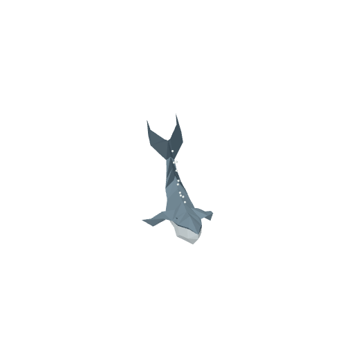 Whale