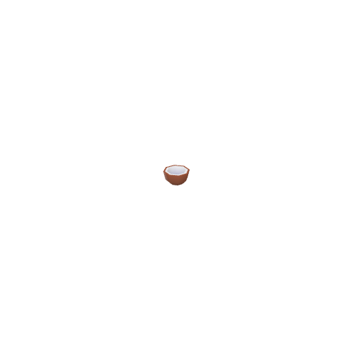 Coconut Half