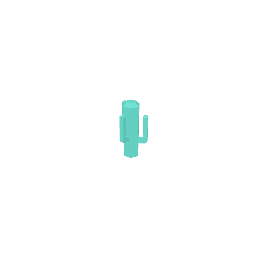 Cactus Tall