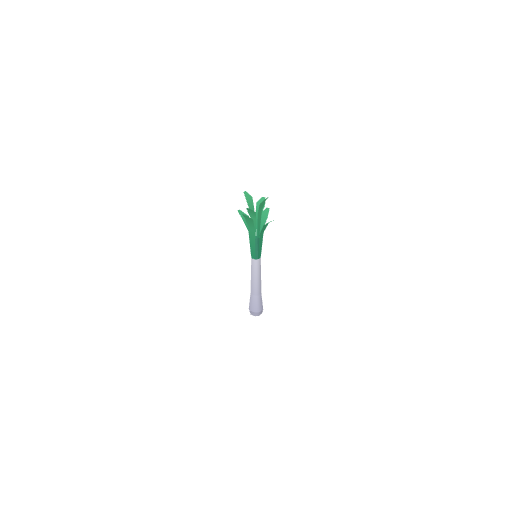 Leek