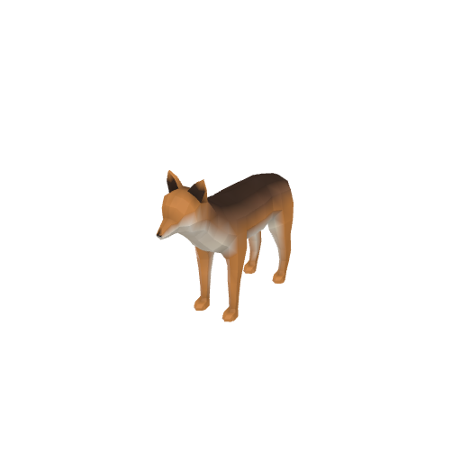 Coyote