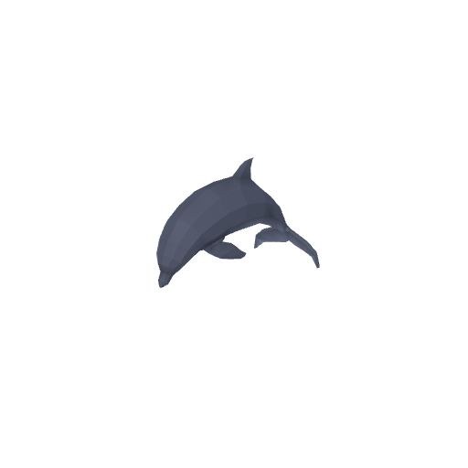 Dolphin