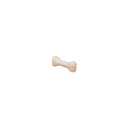 Bone