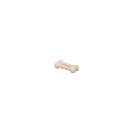 Bone