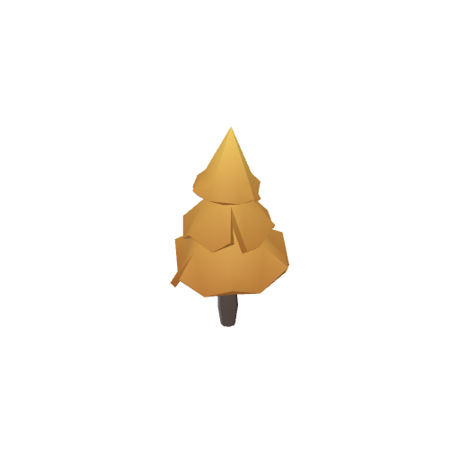 Autumn Pine TTXhw POkp J