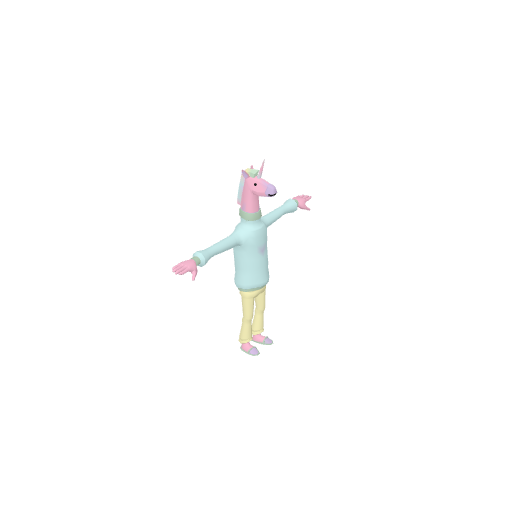 Unicorn Person