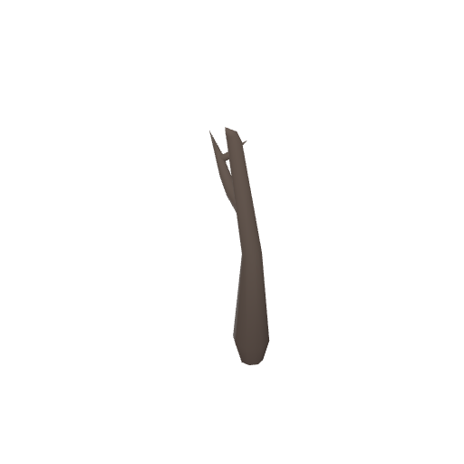 Small Dead Tree