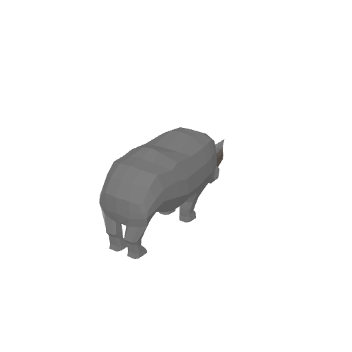 Rhino