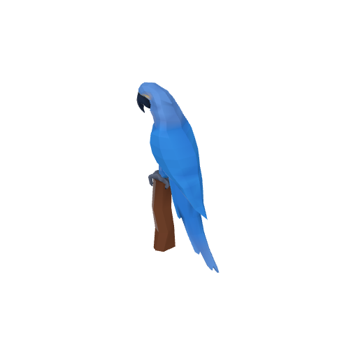 Macaw