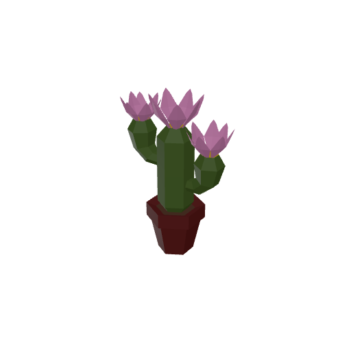 Flower Pot