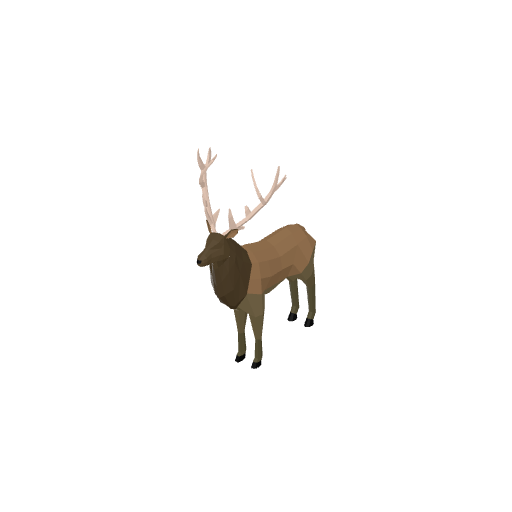 Deer