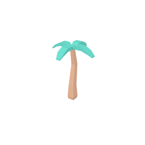 Tree Palm Tall