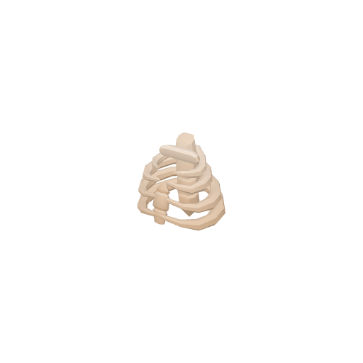 Ribcage