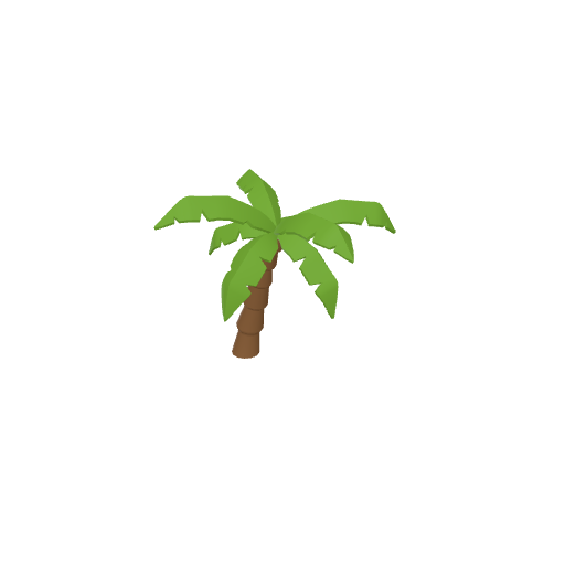 Palm Tree