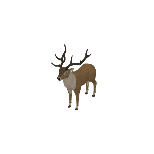 Stag