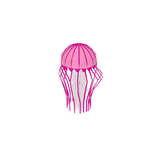Jellyfish
