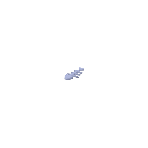 Fish Bones