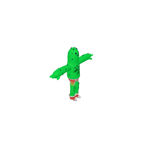 Cactus Character