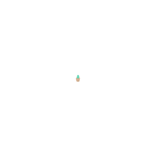 Plant Small3