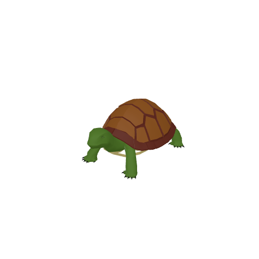 Turtle