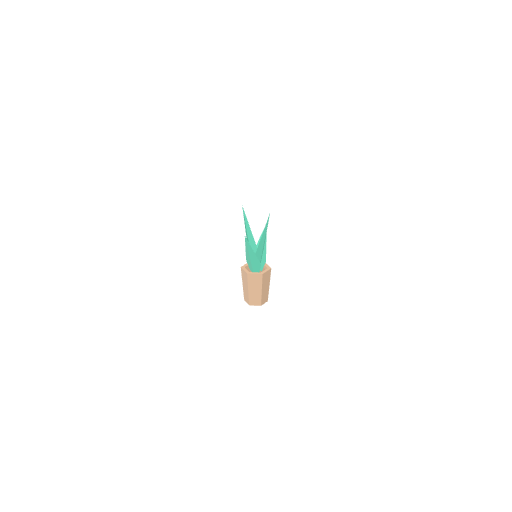 Potted Plant