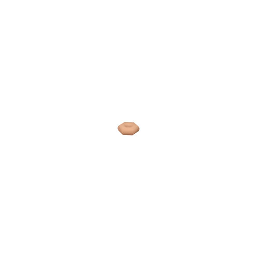 Donut