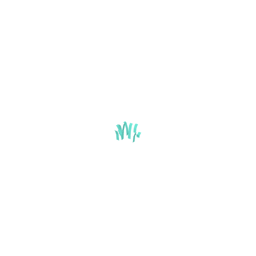 Grass