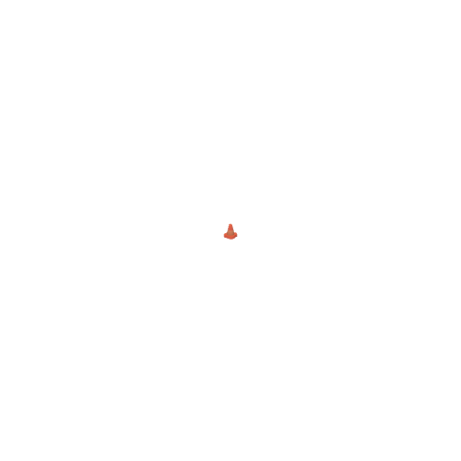 Construction Cone
